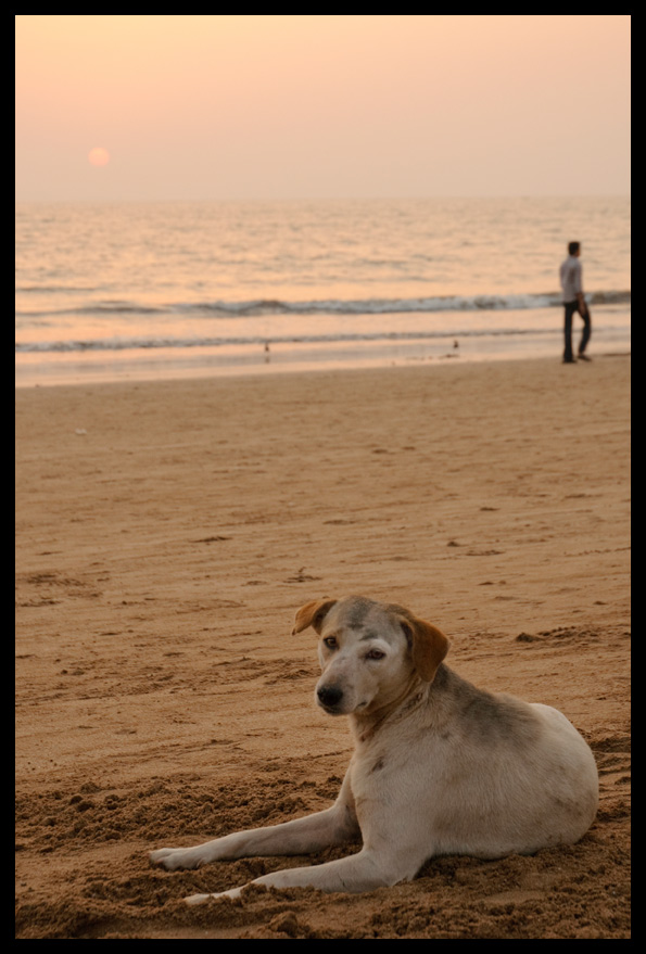003mumbaism