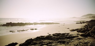 Cape Point Nature Reserve
