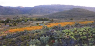 Autumn in the Mountains